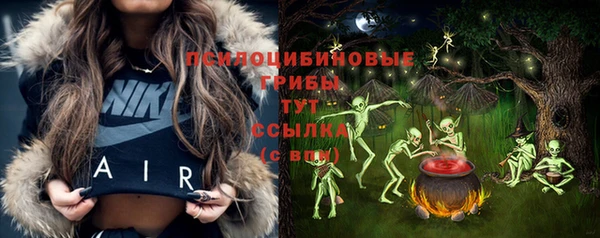 бошки Володарск