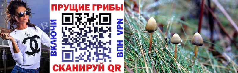 даркнет клад  Карпинск  Галлюциногенные грибы MAGIC MUSHROOMS 